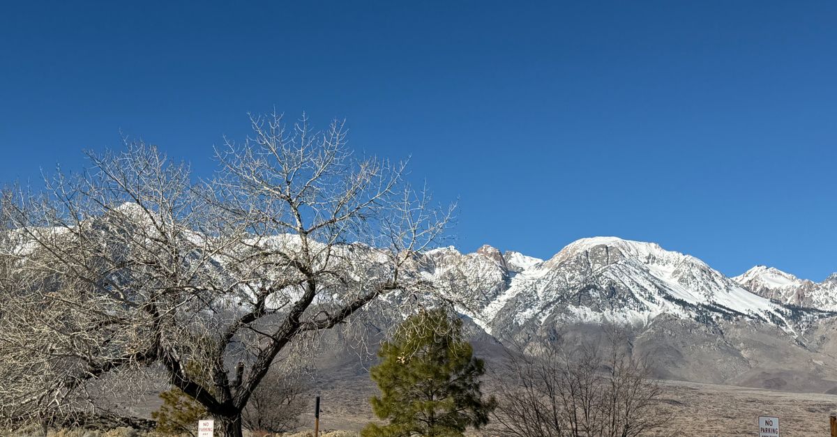 Beautiful landscape with snow-capped Sierra Nevada mountains, blue sky, and barren trees in California.